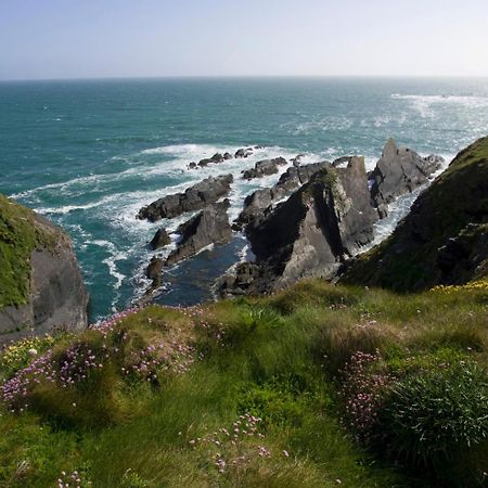Galley Head Lightkeeper'S Houses Donoure المظهر الخارجي الصورة